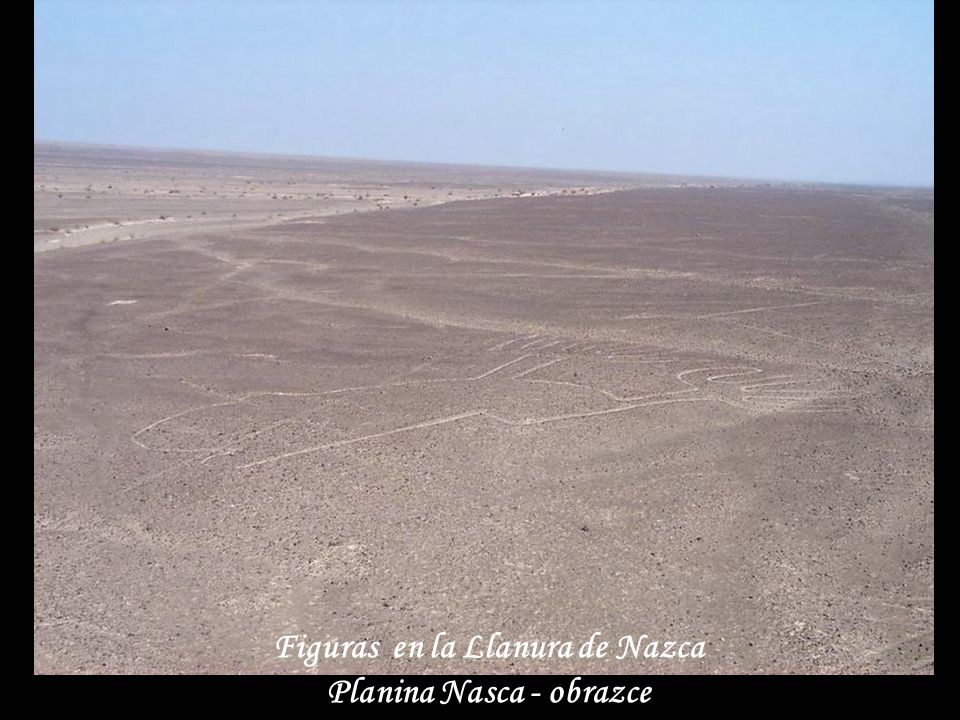 Figuras en la Llanura de Nazca Planina Nasca - obrazce