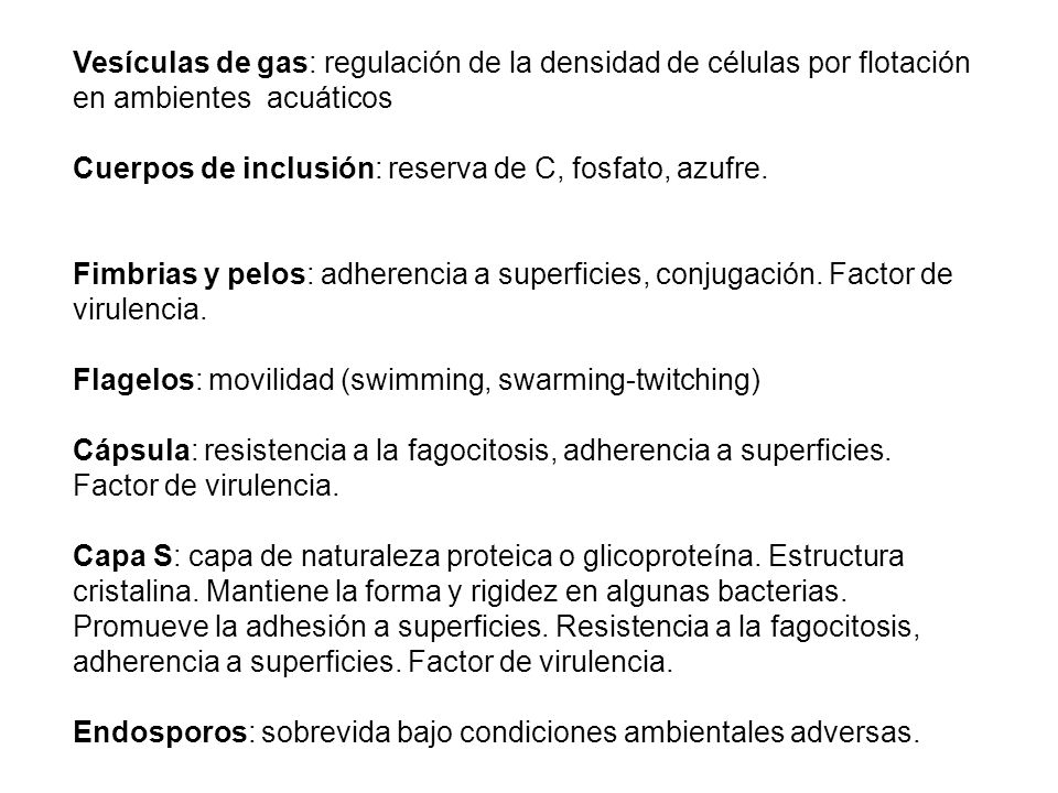 Vesículas de gas: regulación de la densidad de células por flotación en ambientes acuáticos