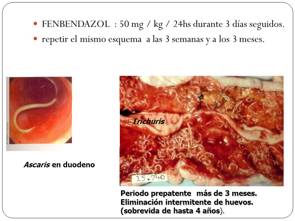 FENBENDAZOL : 50 mg / kg / 24hs durante 3 días seguidos.