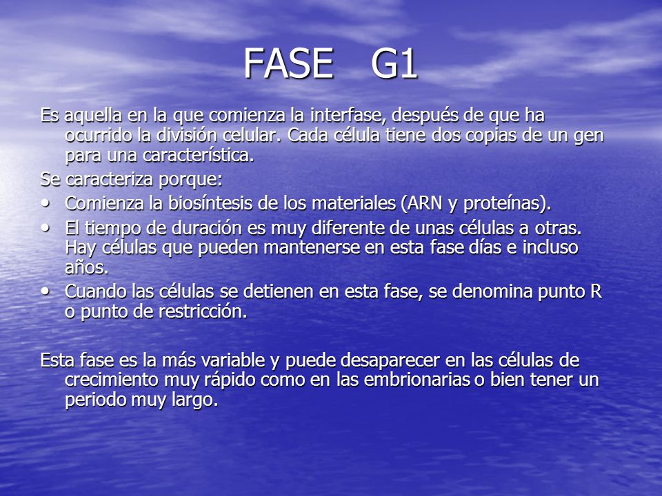 FASE G1