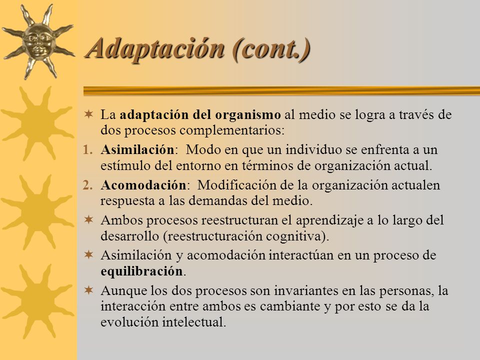 Adaptación (cont.) La adaptación del organismo al medio se logra a través de dos procesos complementarios: