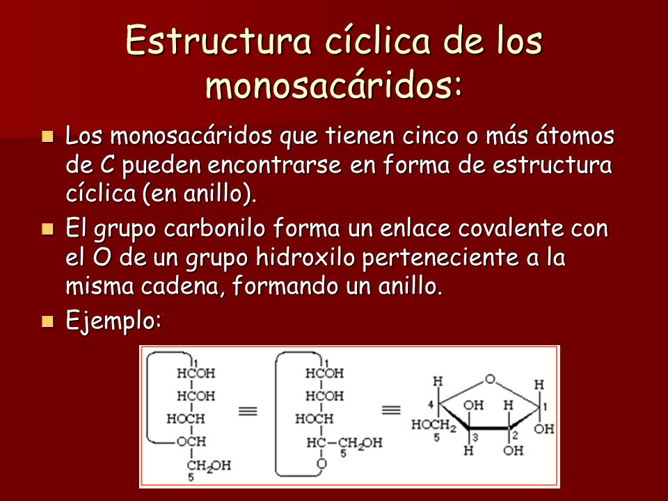 Estructura cíclica de los monosacáridos: