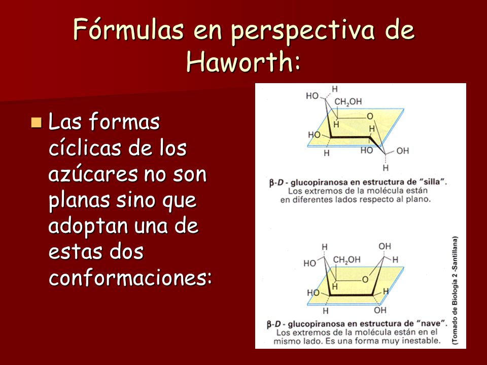 Fórmulas en perspectiva de Haworth: