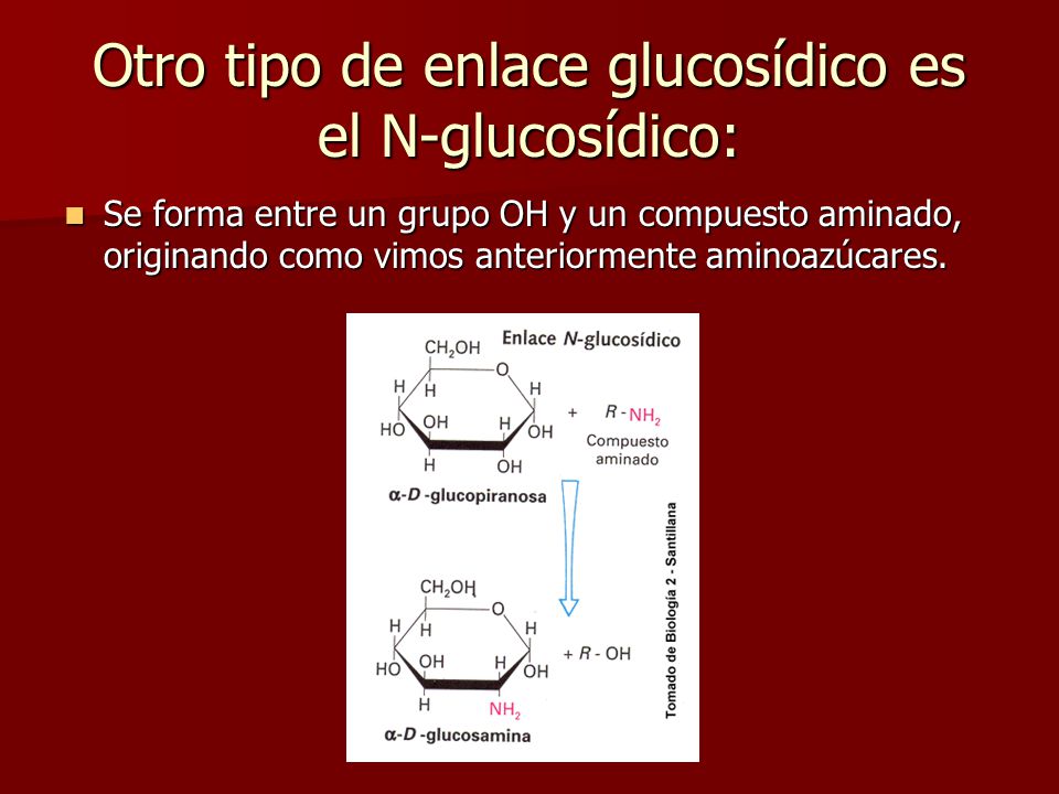 Otro tipo de enlace glucosídico es el N-glucosídico: