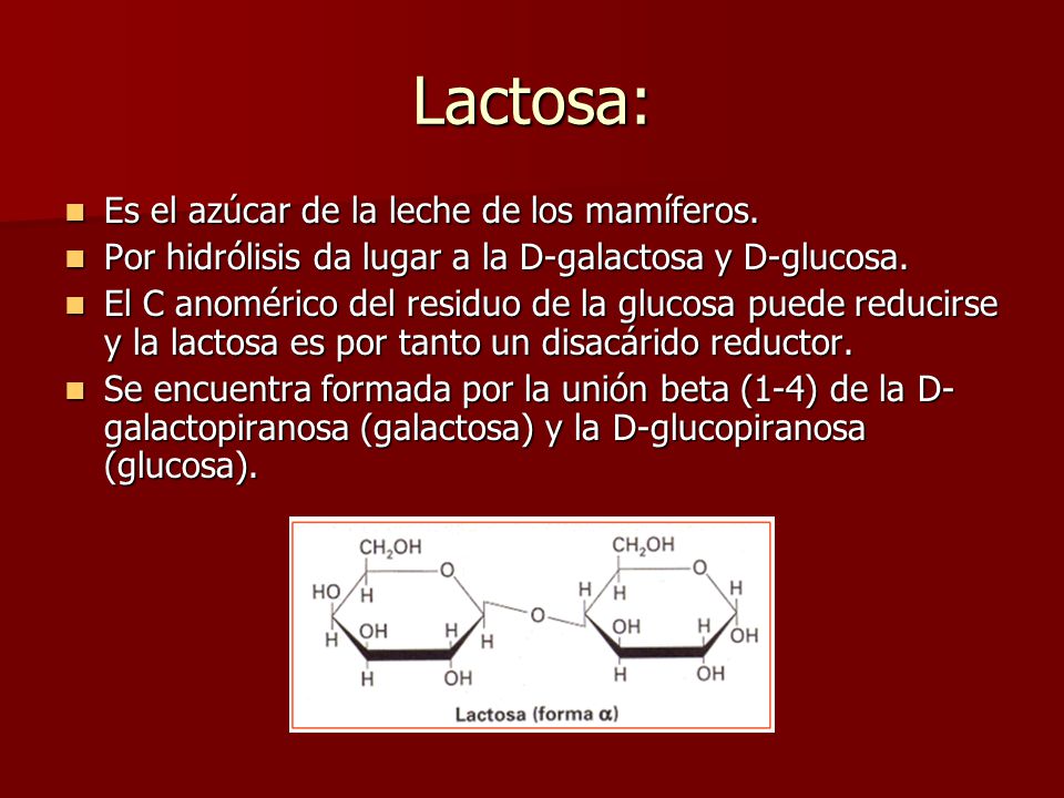 Lactosa: Es el azúcar de la leche de los mamíferos.
