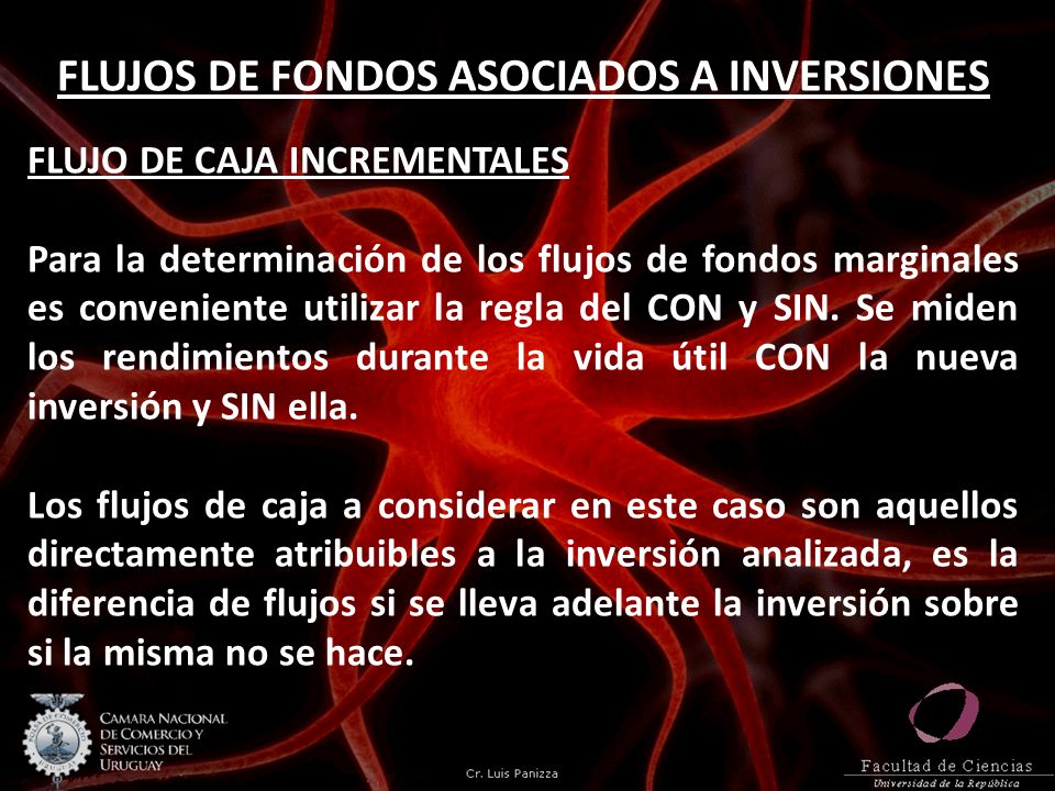 FLUJOS DE FONDOS ASOCIADOS A INVERSIONES