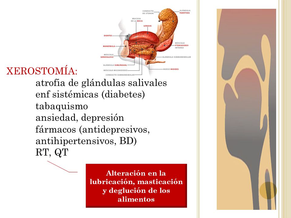 Alteración en la lubricación, masticación y deglución de los alimentos
