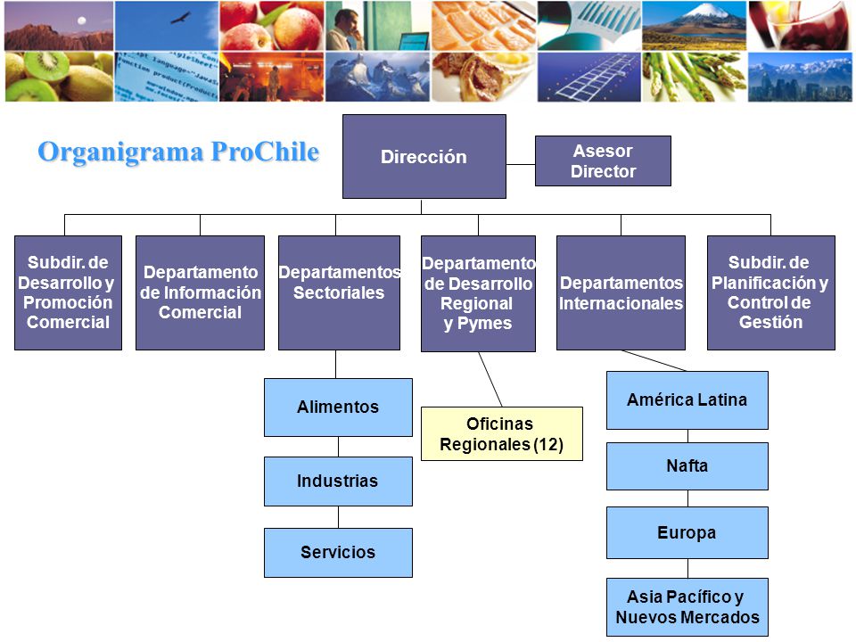 Organigrama ProChile Dirección Asesor Director Subdir. de Desarrollo y