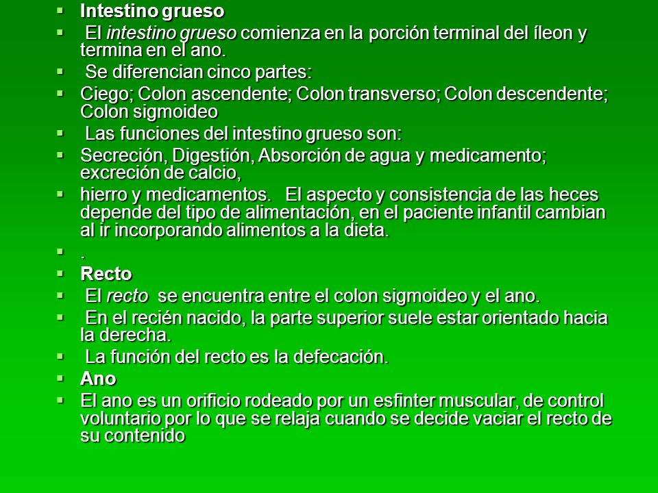 Intestino grueso El intestino grueso comienza en la porción terminal del íleon y termina en el ano.