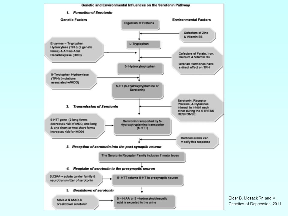 Elder B, Mosack Rn and V. Genetics of Depression. 2011
