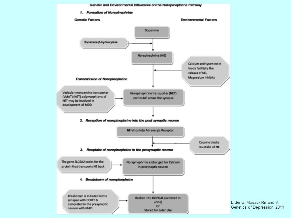 Elder B, Mosack Rn and V. Genetics of Depression. 2011