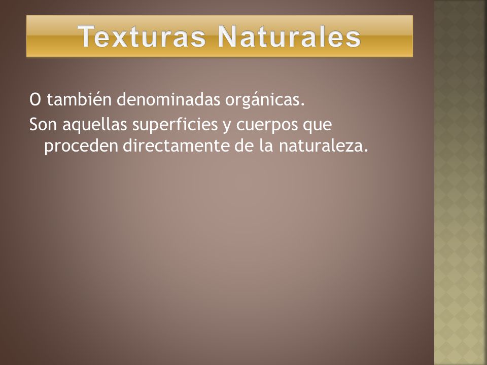 Texturas Naturales O también denominadas orgánicas.