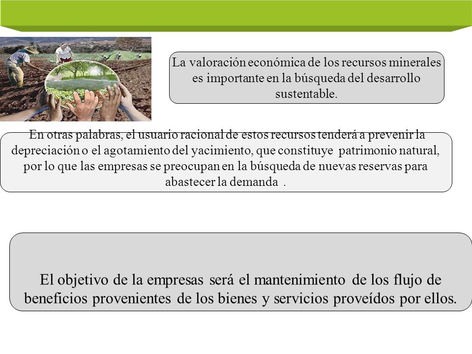 La valoración económica de los recursos minerales es importante en la búsqueda del desarrollo sustentable.