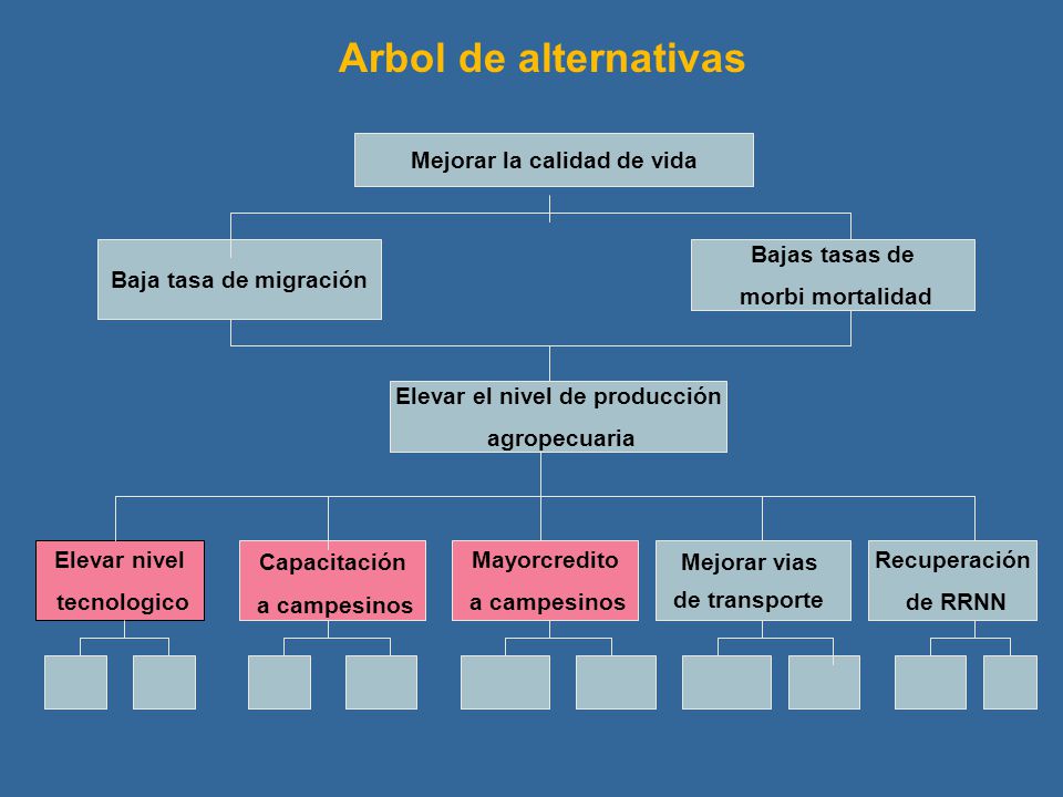 Mejorar la calidad de vida Elevar el nivel de producción