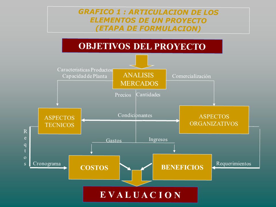 OBJETIVOS DEL PROYECTO E V A L U A C I O N