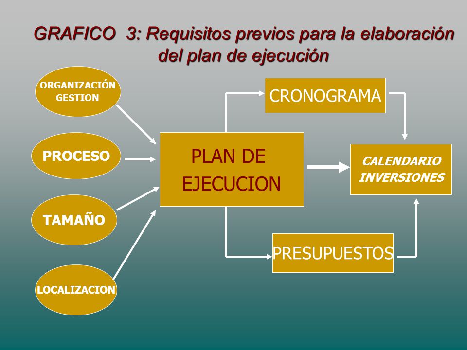 GRAFICO 3: Requisitos previos para la elaboración del plan de ejecución