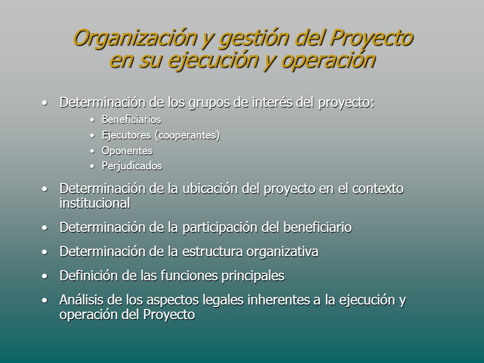 Organización y gestión del Proyecto en su ejecución y operación