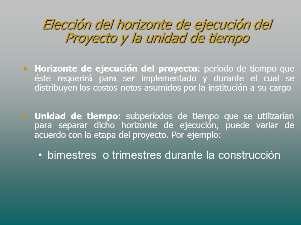 Elección del horizonte de ejecución del Proyecto y la unidad de tiempo