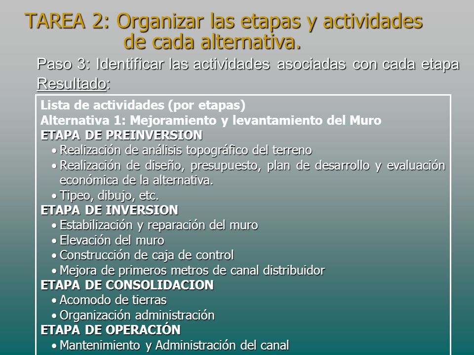 TAREA 2: Organizar las etapas y actividades de cada alternativa.