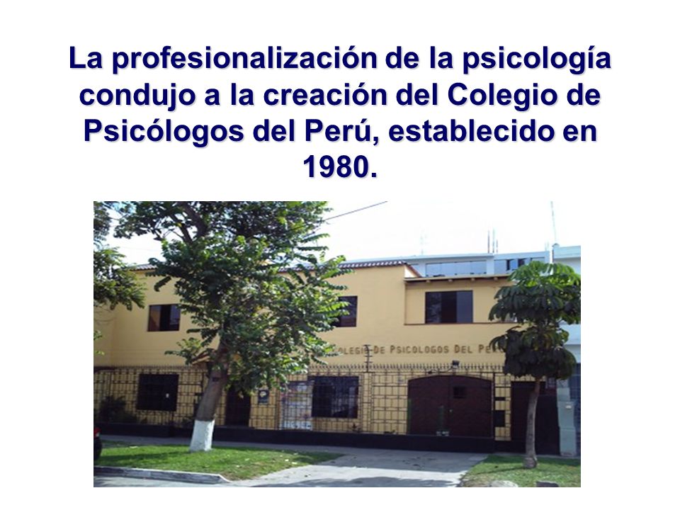 La profesionalización de la psicología condujo a la creación del Colegio de Psicólogos del Perú, establecido en 1980.