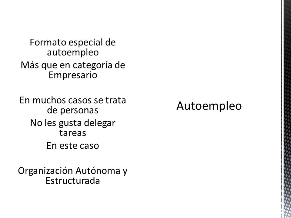 Formato especial de autoempleo Más que en categoría de Empresario En muchos casos se trata de personas No les gusta delegar tareas En este caso Organización Autónoma y Estructurada