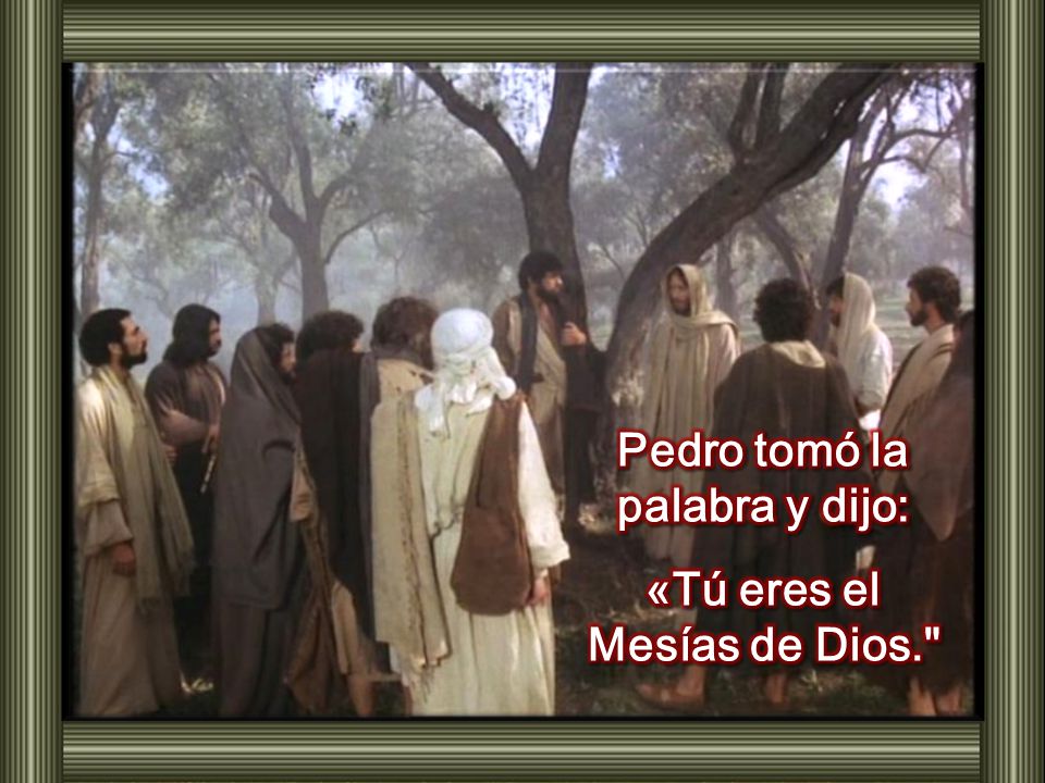 Pedro tomó la palabra y dijo: «Tú eres el Mesías de Dios.