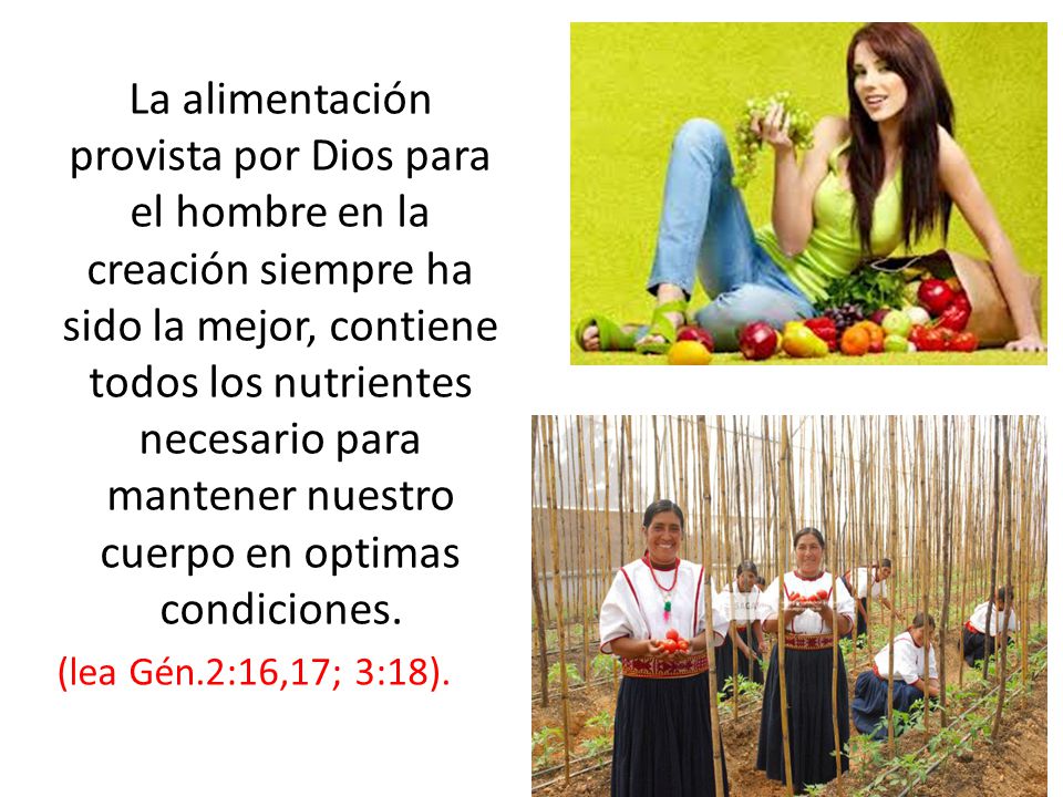 La alimentación provista por Dios para el hombre en la creación siempre ha sido la mejor, contiene todos los nutrientes necesario para mantener nuestro cuerpo en optimas condiciones.