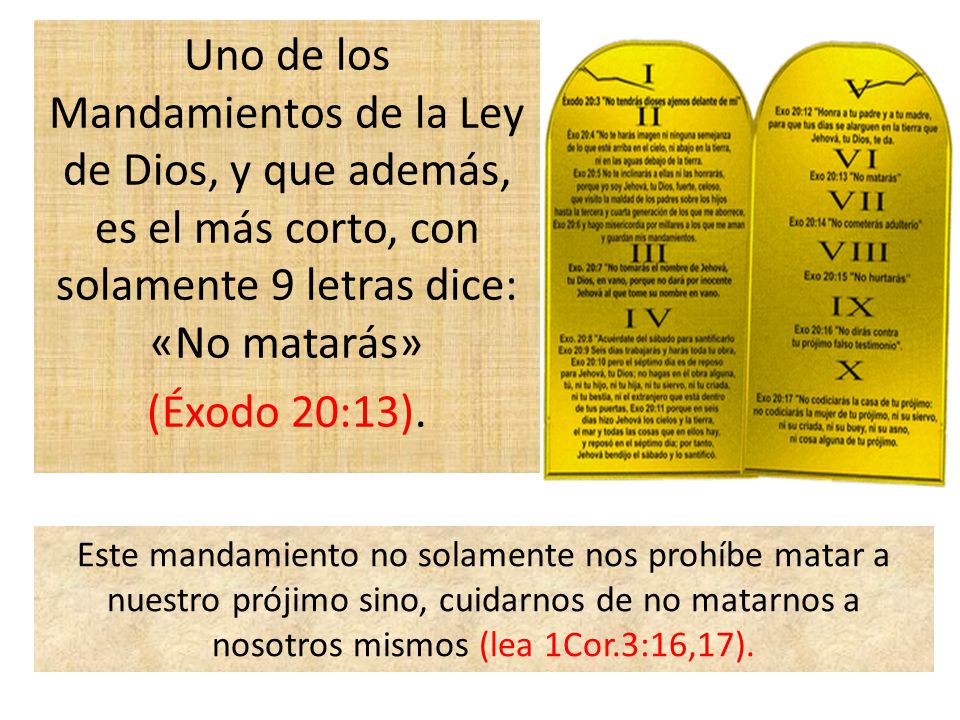 Uno de los Mandamientos de la Ley de Dios, y que además, es el más corto, con solamente 9 letras dice: «No matarás» (Éxodo 20:13).