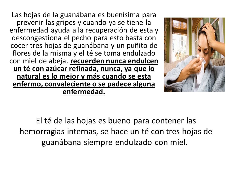Las hojas de la guanábana es buenísima para prevenir las gripes y cuando ya se tiene la enfermedad ayuda a la recuperación de esta y descongestiona el pecho para esto basta con cocer tres hojas de guanábana y un puñito de flores de la misma y el té se toma endulzado con miel de abeja, recuerden nunca endulcen un té con azúcar refinada, nunca, ya que lo natural es lo mejor y más cuando se esta enfermo, convaleciente o se padece alguna enfermedad.