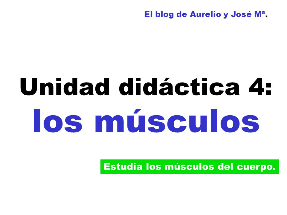 Unidad didáctica 4: los músculos