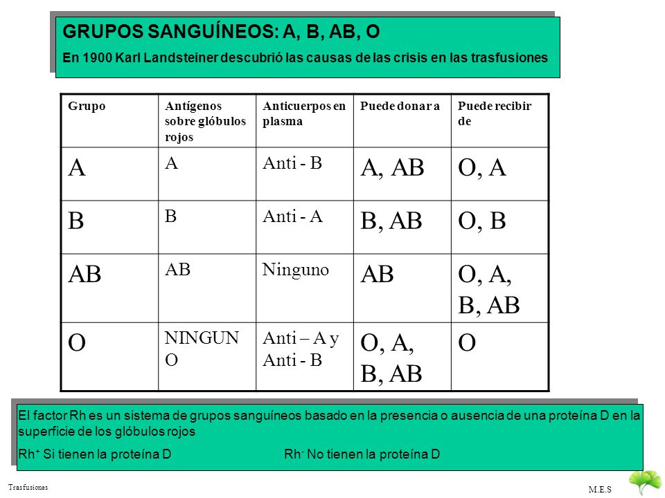 A A, AB O, A B B, AB O, B AB O, A, B, AB O