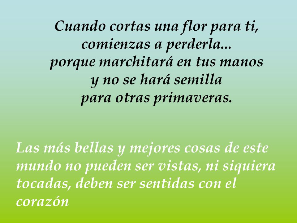 Cuando cortas una flor para ti, comienzas a perderla