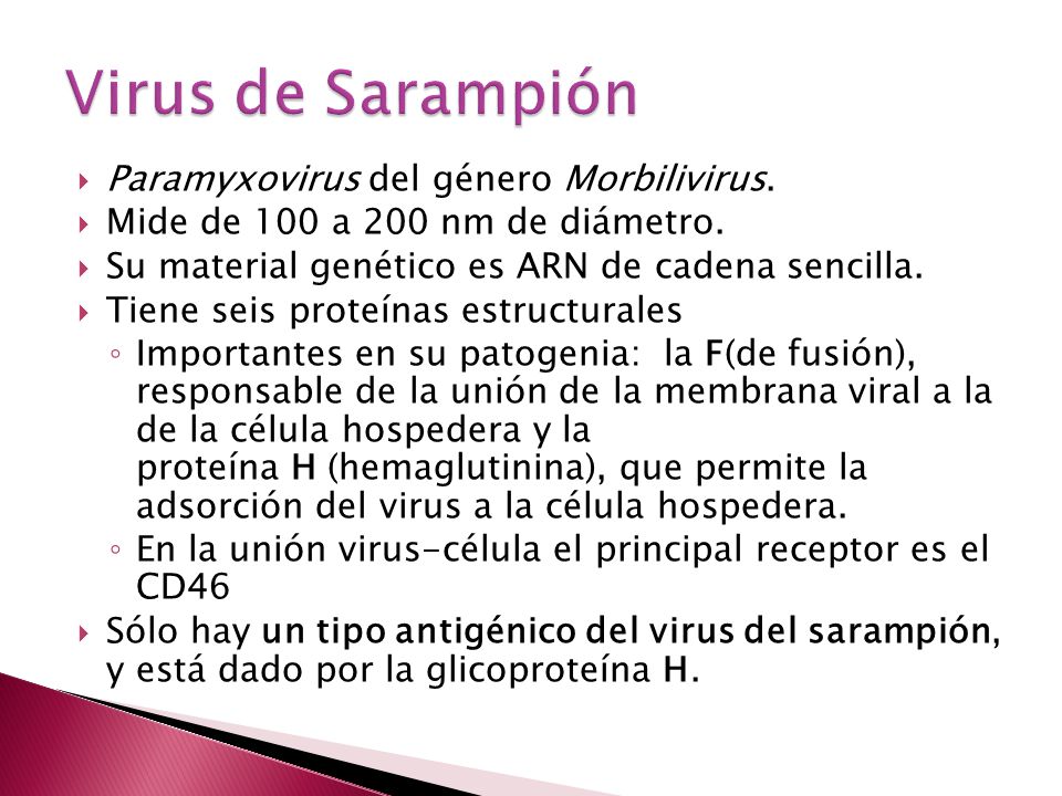 Virus de Sarampión Paramyxovirus del género Morbilivirus.