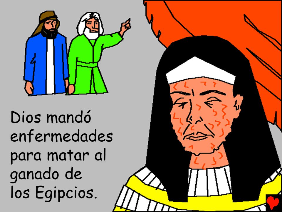 Dios mandó enfermedades para matar al ganado de los Egipcios.