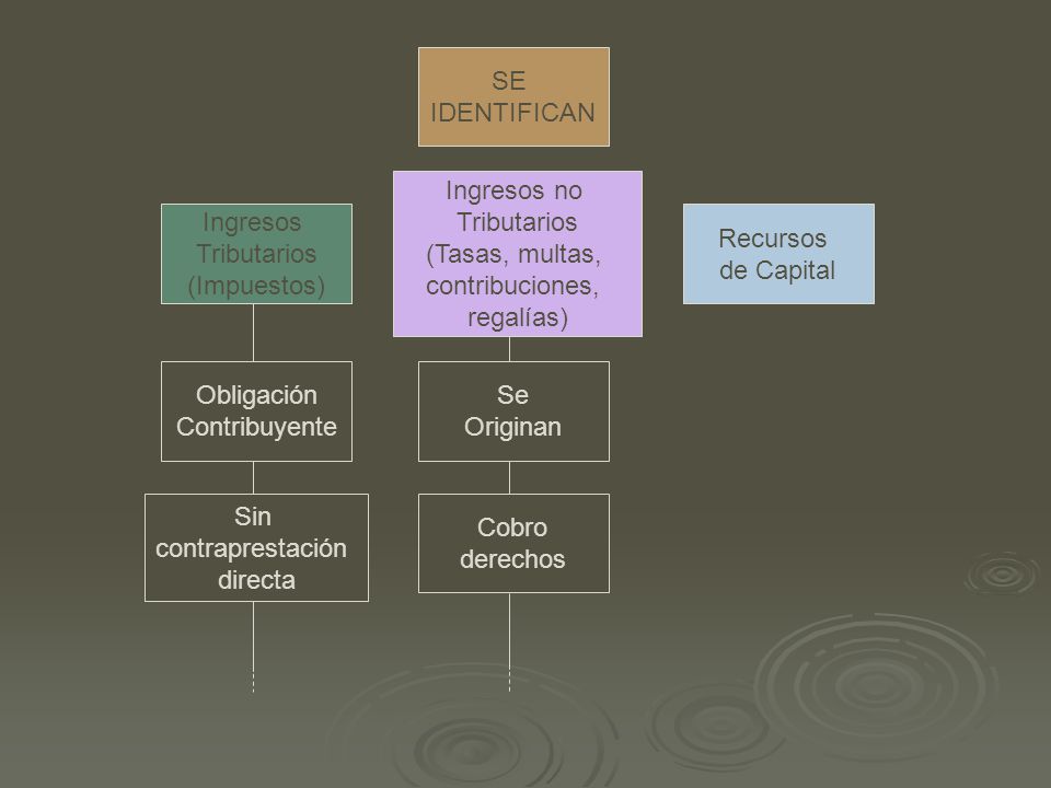 SE IDENTIFICAN. Ingresos no. Tributarios. (Tasas, multas, contribuciones, regalías) Ingresos.