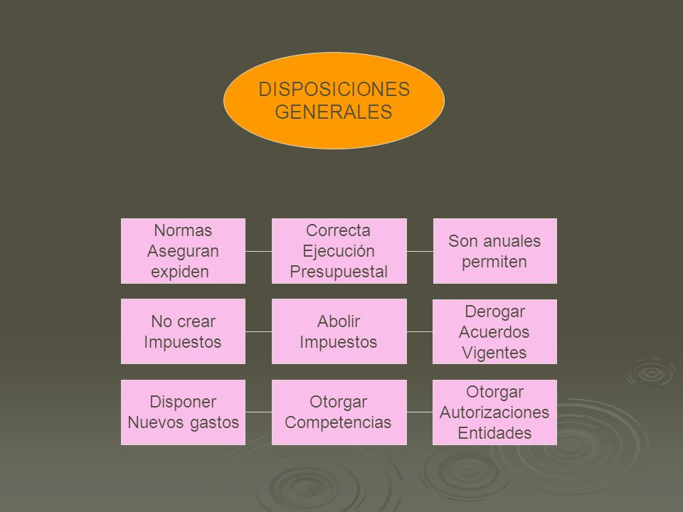 DISPOSICIONES GENERALES Normas Aseguran expiden Correcta Ejecución