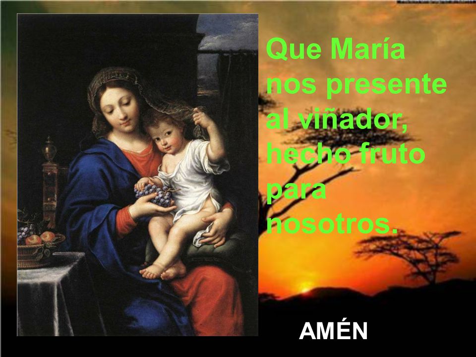 Que María nos presente al viñador, hecho fruto para nosotros.