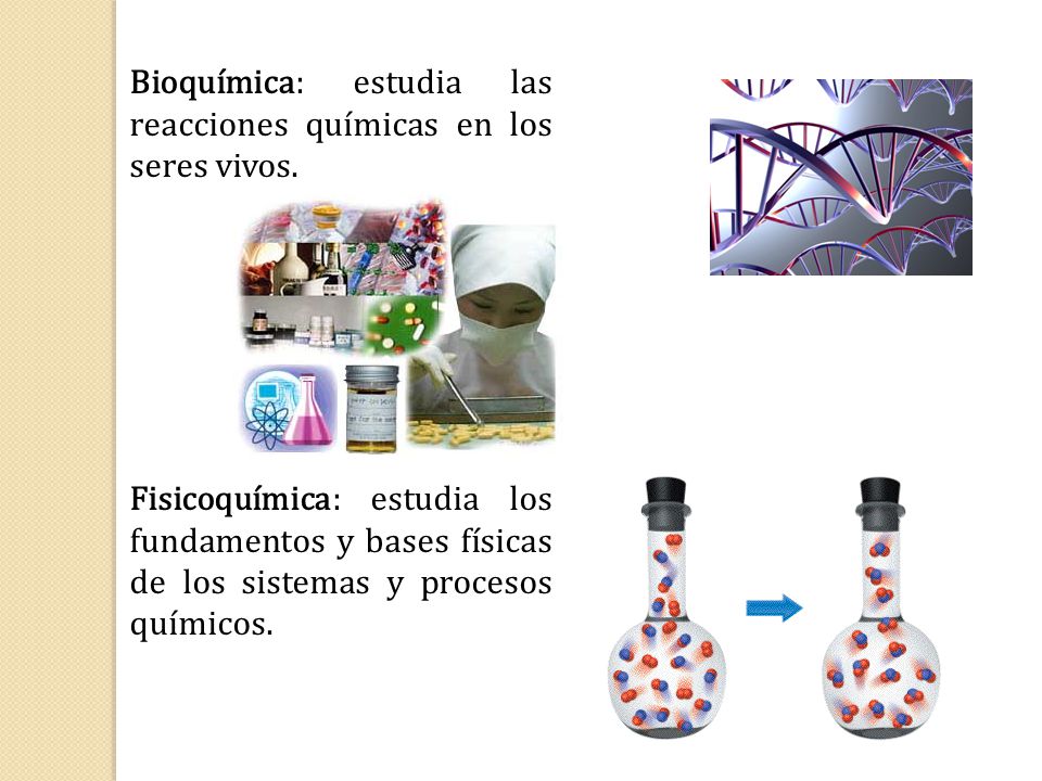 Bioquímica: estudia las reacciones químicas en los seres vivos.