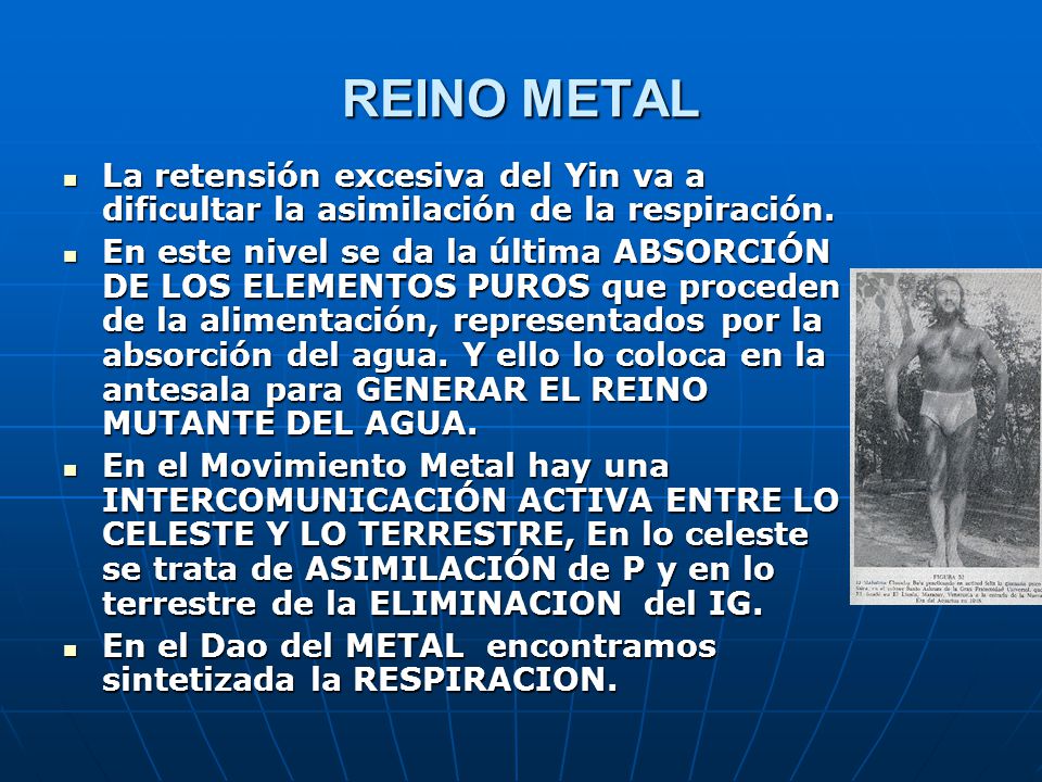 REINO METAL La retensión excesiva del Yin va a dificultar la asimilación de la respiración.