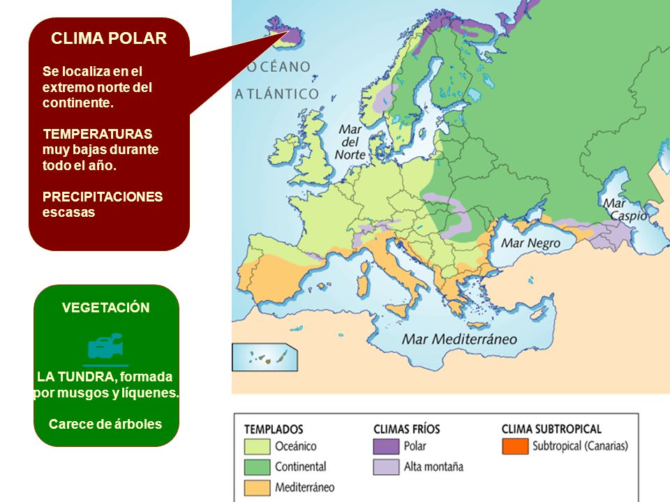  CLIMA POLAR Se localiza en el extremo norte del continente.