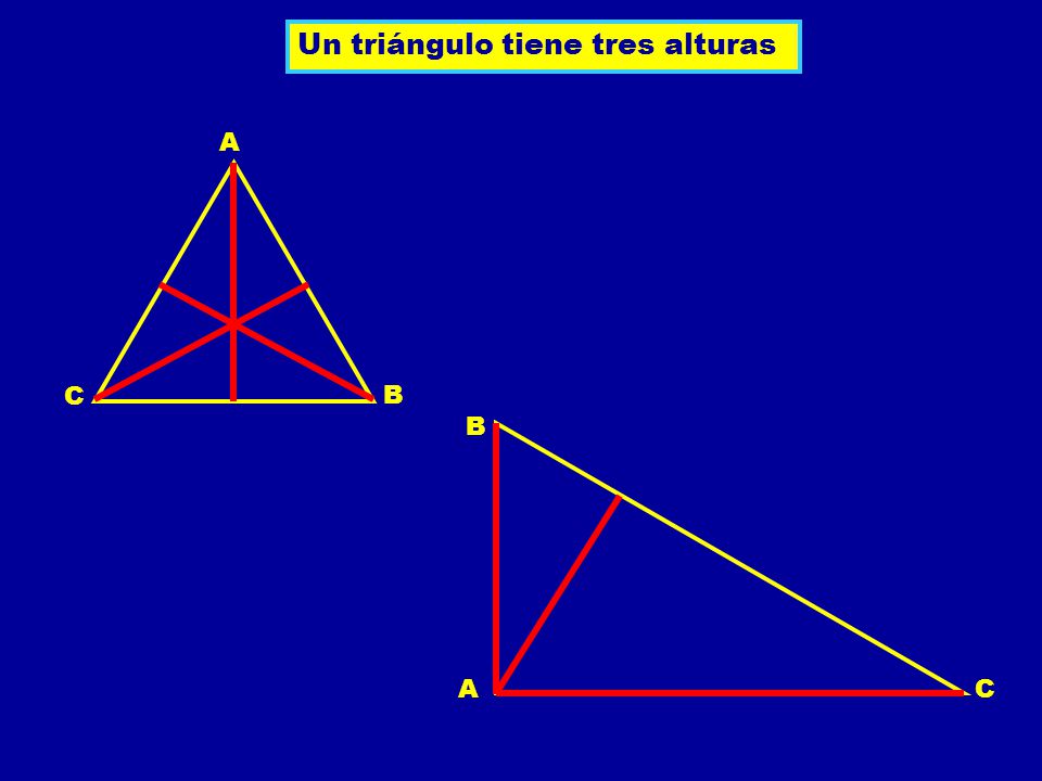 Un triángulo tiene tres alturas