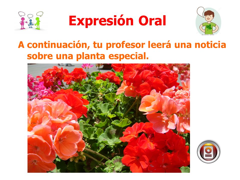 Expresión Oral A continuación, tu profesor leerá una noticia sobre una planta especial.
