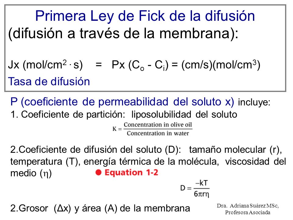 Primera Ley de Fick de la difusión (difusión a través de la membrana):