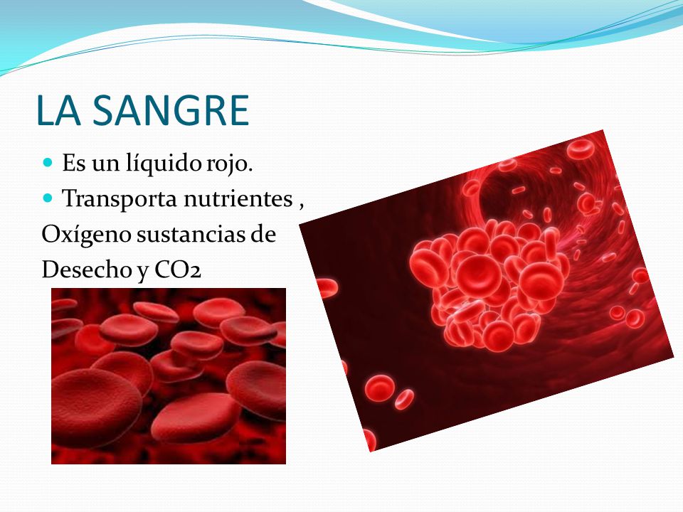 LA SANGRE Es un líquido rojo. Transporta nutrientes ,