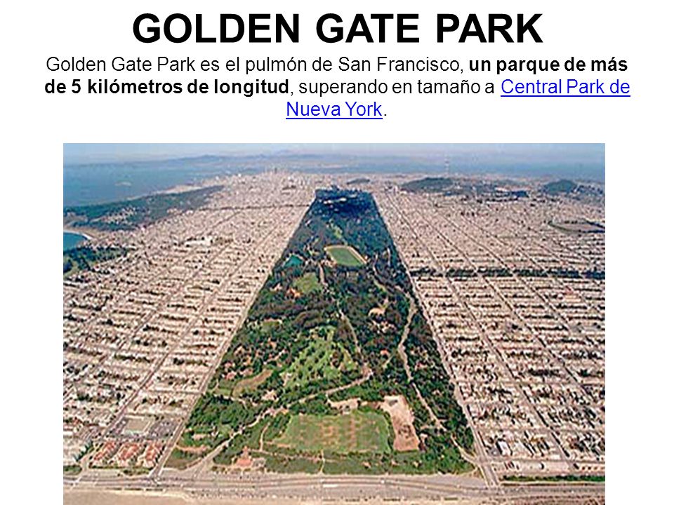 GOLDEN GATE PARK Golden Gate Park es el pulmón de San Francisco, un parque de más de 5 kilómetros de longitud, superando en tamaño a Central Park de Nueva York.