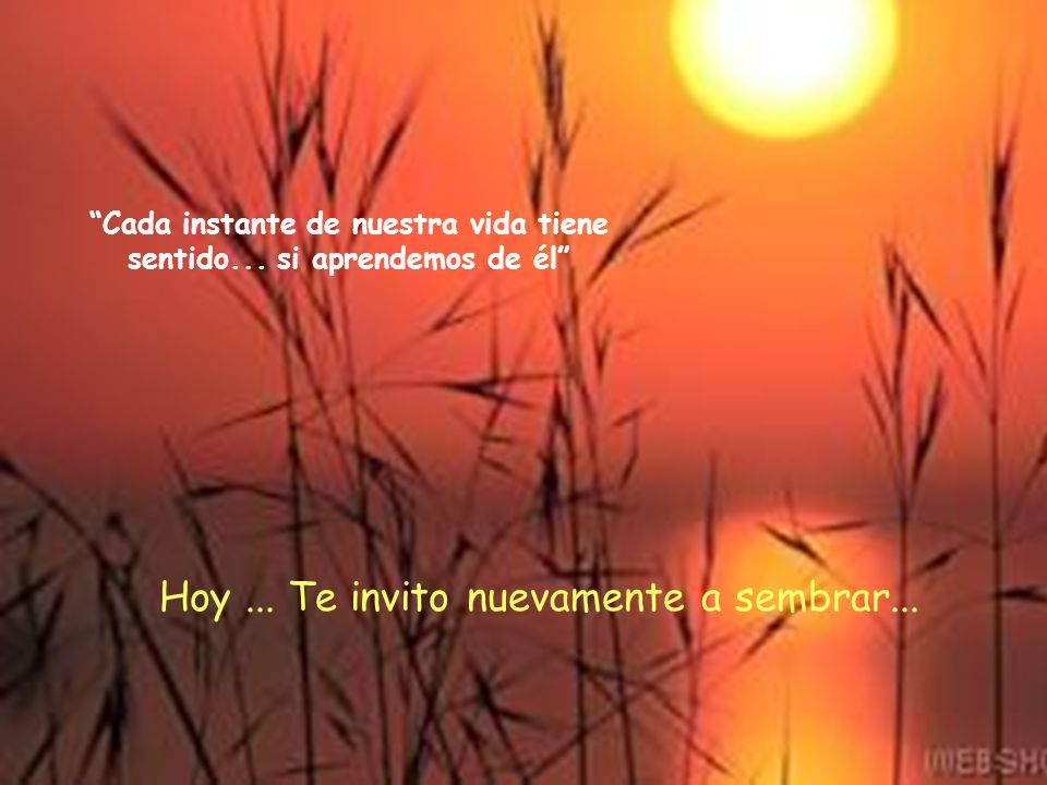 Cada instante de nuestra vida tiene sentido... si aprendemos de él