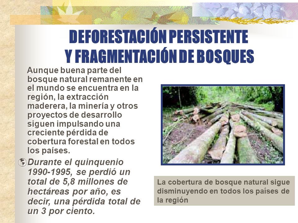 DEFORESTACIÓN PERSISTENTE Y FRAGMENTACIÓN DE BOSQUES