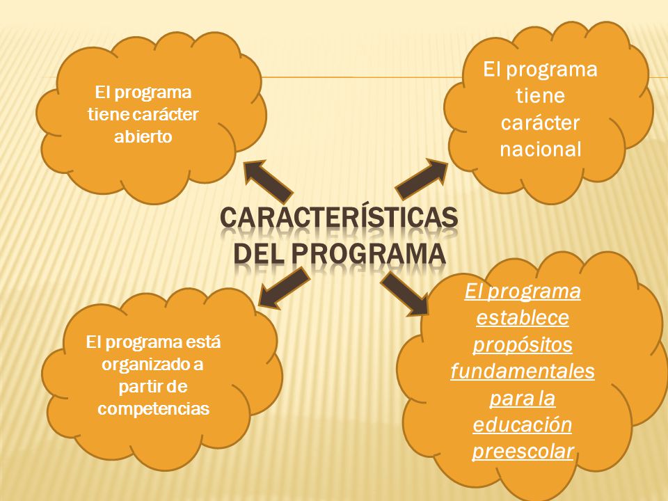 Características del programa