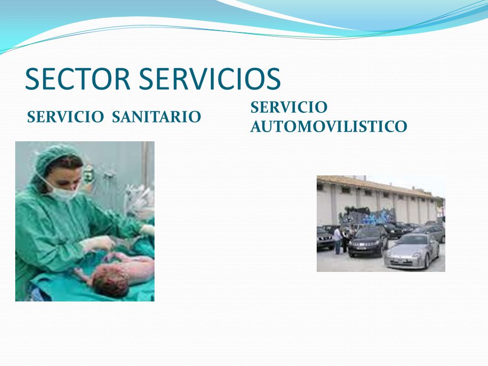 SECTOR SERVICIOS SERVICIO SANITARIO SERVICIO AUTOMOVILISTICO
