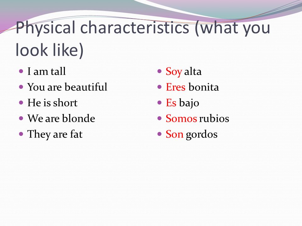 Physical characteristics (what you look like)